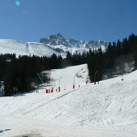 Cosy Pres Des Pistes A Valmorel, Animaux Admis - Fr-1-356-349 Valmorel