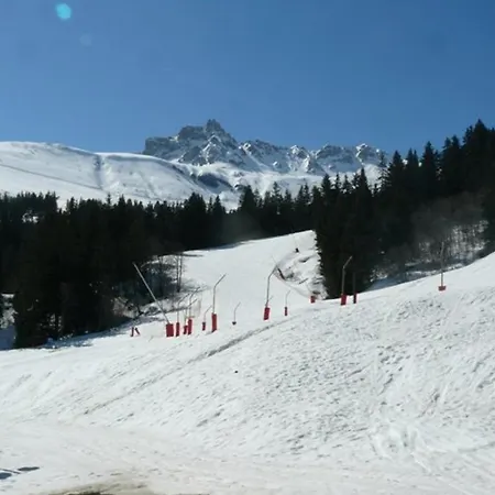 Apartment Cosy Pres Des Pistes A Valmorel, Animaux Admis - Fr-1-356-349 *